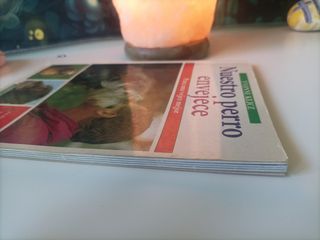 NUESTRO PERRO ENVEJECE (GUIAS DEL NATURALISTA-A...