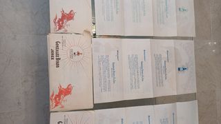 Carteles Toros Zaragoza: 4 seda