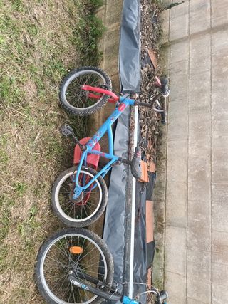 Bicicletas: Infantil y adulto