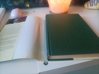 Flor del desierto (Memorias) (Spanish Edition)