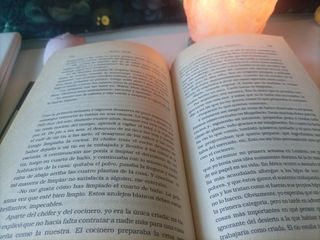 Flor del desierto (Memorias) (Spanish Edition)