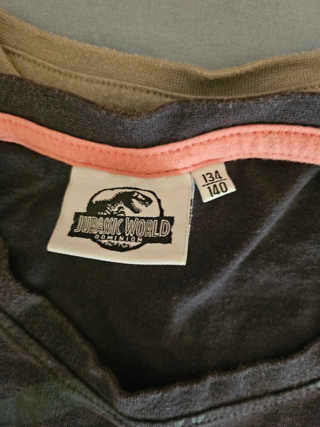 3 Camisetas Niño 10 años - Pokémon, Dinosaurios,