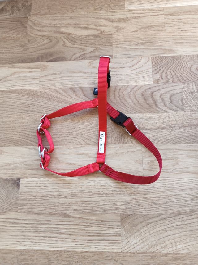 Arnés EasyWalk PetSafe Rojo Talla S