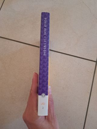 Le streghe (Italian Edition)