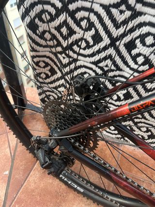 Bicicleta 29”