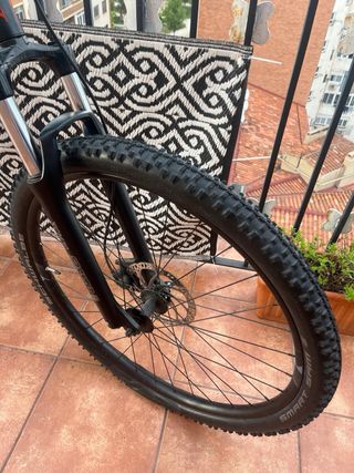 Bicicleta 29”