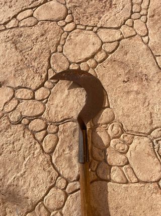 Hoz antigua de cosecha