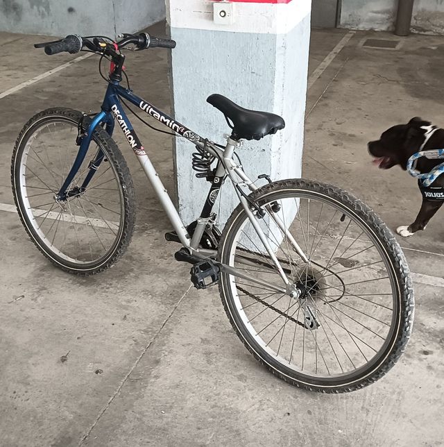 Bicicleta Decathlon Ultramino
Acepto cambio 