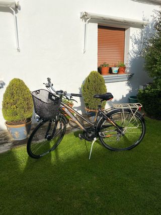 Bicicleta paseo Bottecchia