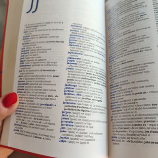 Diccionario francés -español.