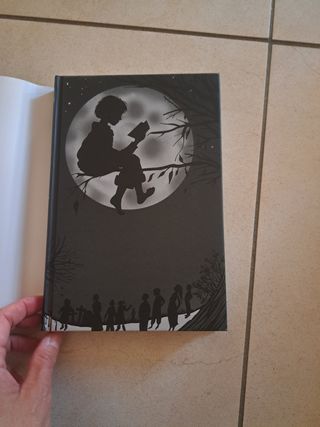 Bambini Nel Bosco