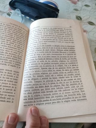 Los pícaros en la literatura
