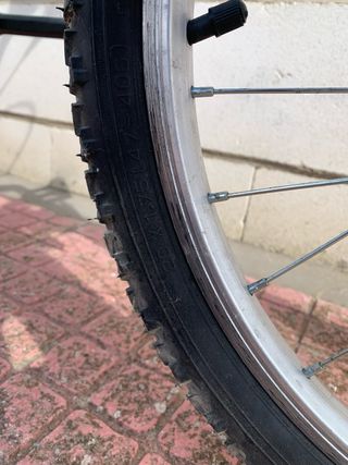 Bicicleta  20 pulgadas