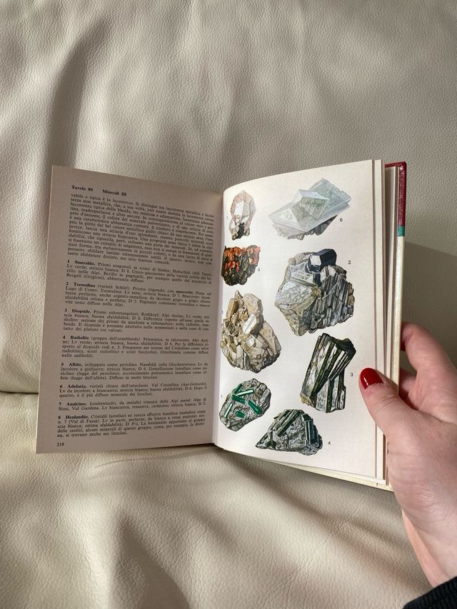 Libro “Flora e fauna delle alpi”