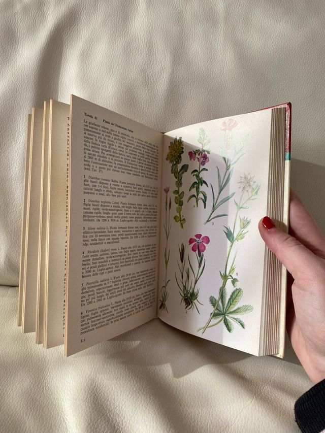 Libro “Flora e fauna delle alpi”