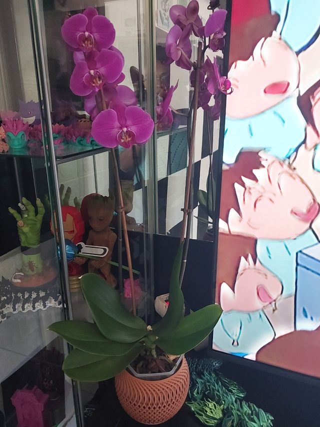 Macetero para orquídea en 3D