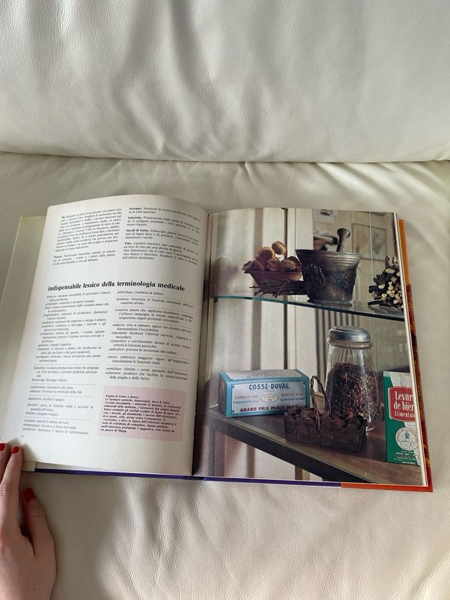 Libro “Erbe e funghi in Europa”