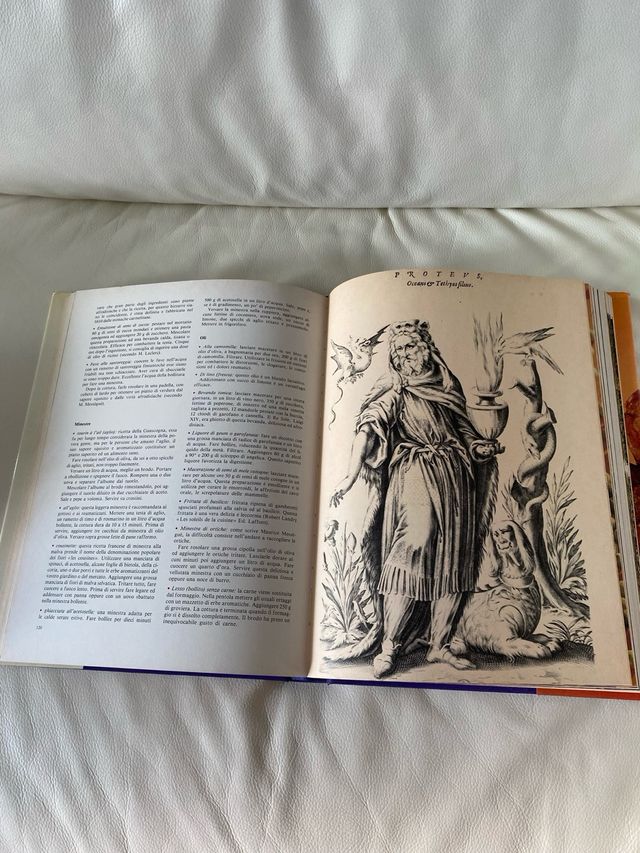 Libro “Erbe e funghi in Europa”