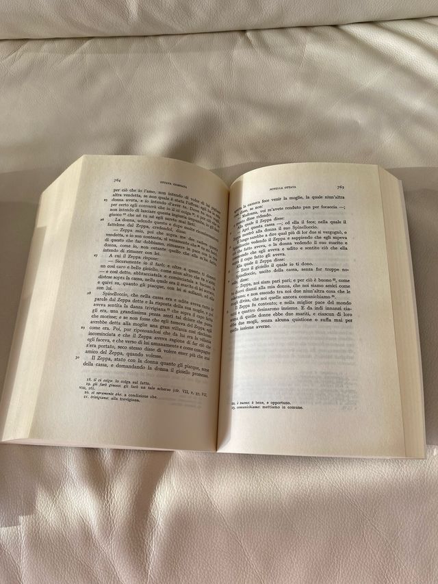 Libro “Decameron” di Boccaccio