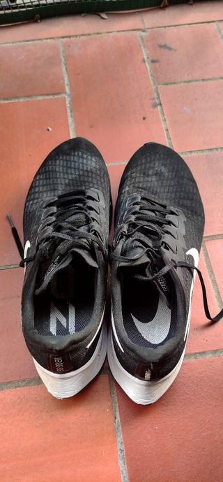 Zapatillas Nike Pegasus 37 - 44