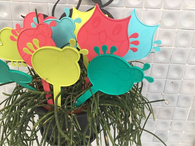 50 marcatori piante colorati