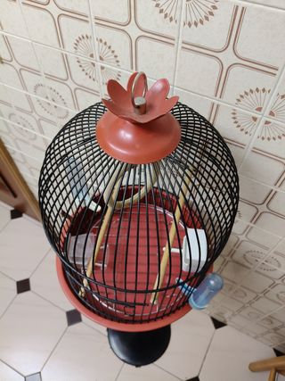Jaula pajaros vintage roja y negra