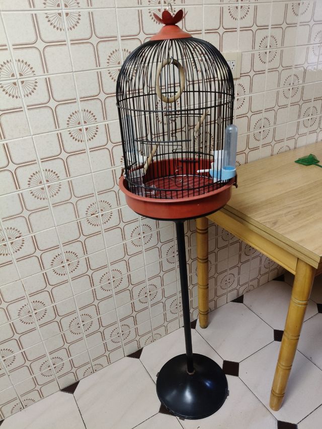 Jaula pajaros vintage roja y negra
