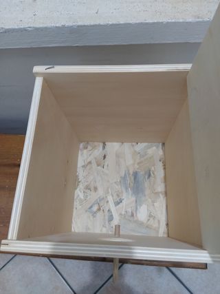 Nido pappagalli calopsite beige