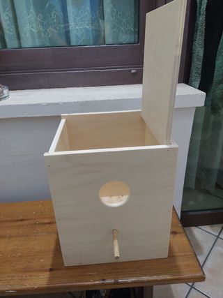 Nido pappagalli calopsite beige