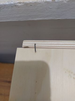 Nido pappagalli calopsite beige