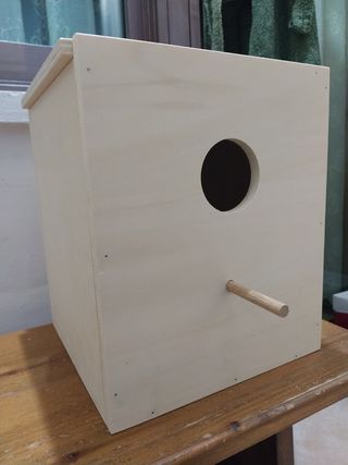 Nido pappagalli calopsite beige