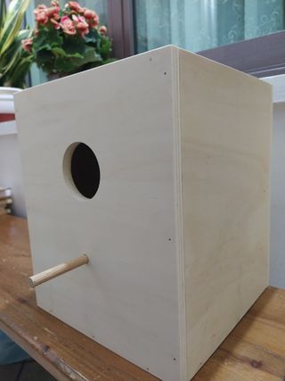 Nido pappagalli calopsite beige