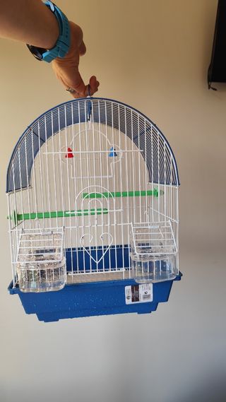 Jaula pájaros azul y blanca