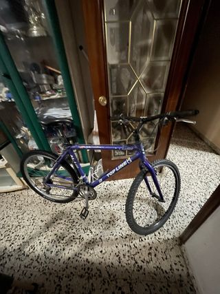 Bicicleta montaña Top Line