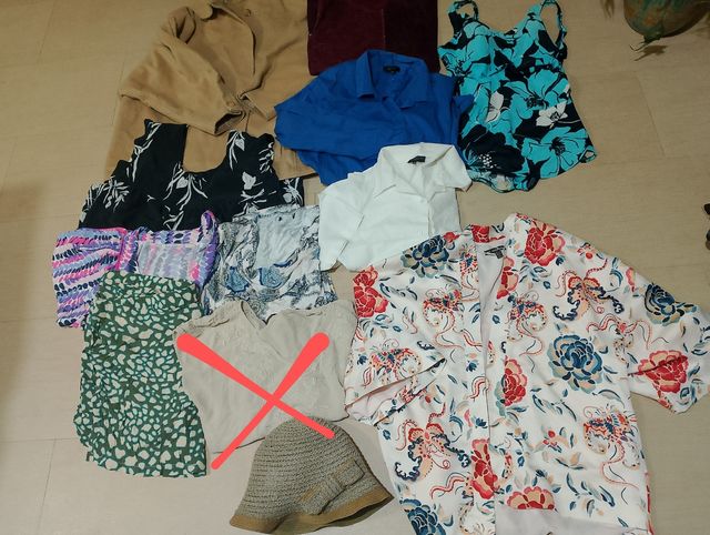 Lote señora talla 46-48 11 prendas