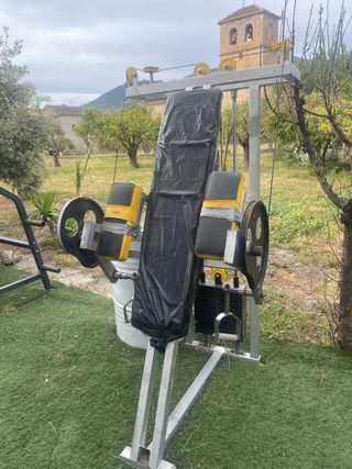 Máquina Biceps Technogym