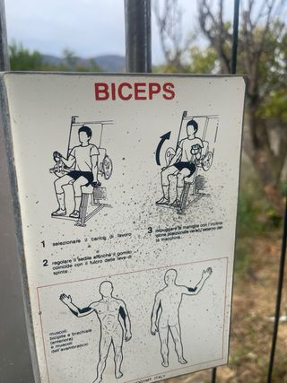 Máquina Biceps Technogym