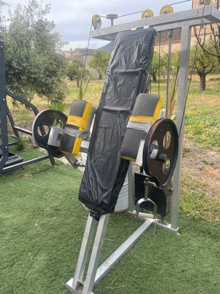 Máquina Biceps Technogym