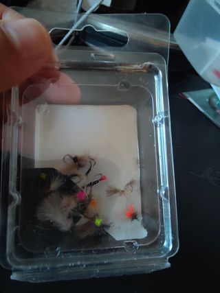 Moscas secas para pesca sin muerte