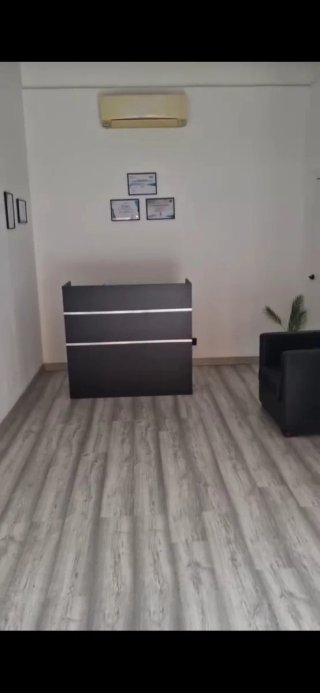 Pintura y Pladur