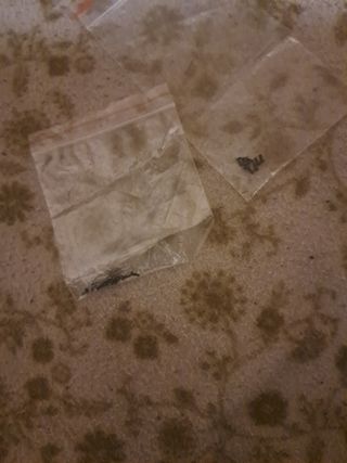 Pantalla Xiaomi 13 4G - Nueva