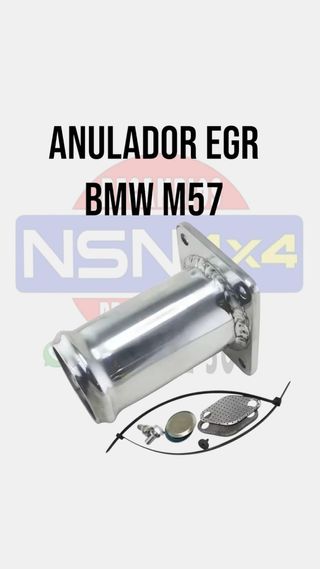 Anulador EGR BMW M57 - N47