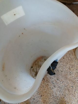 Corba de Brócoli  Tolva Kamikaze  - Cultivos