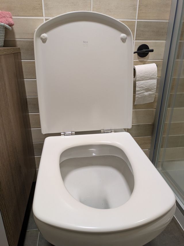 Inodoro WC Roca Blanco