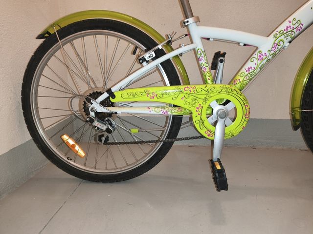 Bicicleta de 24 pulgadas 