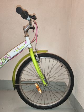 Bicicleta de 24 pulgadas 