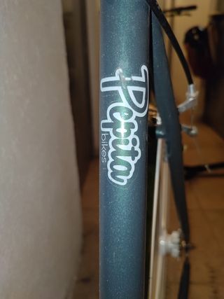 Bicicleta Fixie Pista Bikes Verde