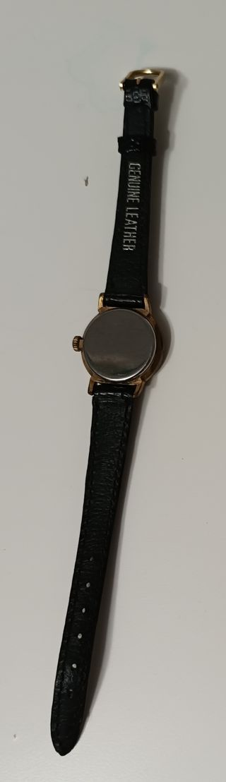 Reloj de pulsera de piel genuina Vanroy Incabloc.
