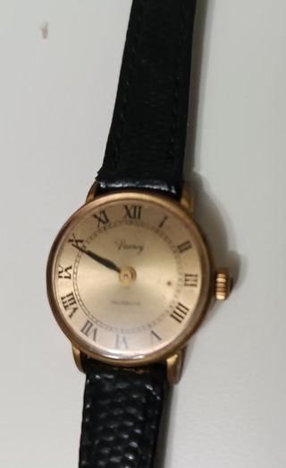 Reloj de pulsera de piel genuina Vanroy Incabloc.