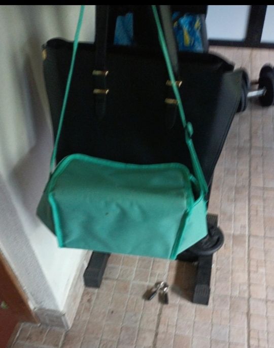 Borsa frigo limone - viaggio spiaggia